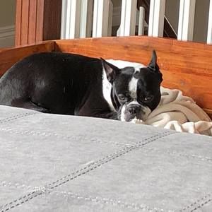 Meet your Posher, Cheryl